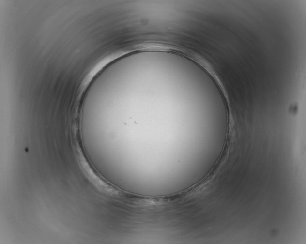 X0000112141195200908070932