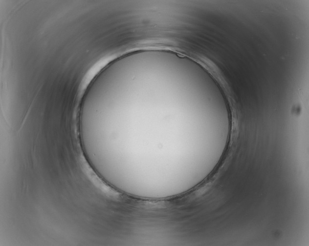 X0000112141196200908070932