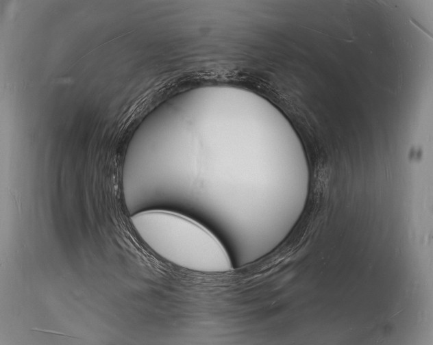 X0000112141202200908070931