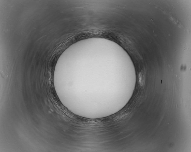 X0000112141203200908070931