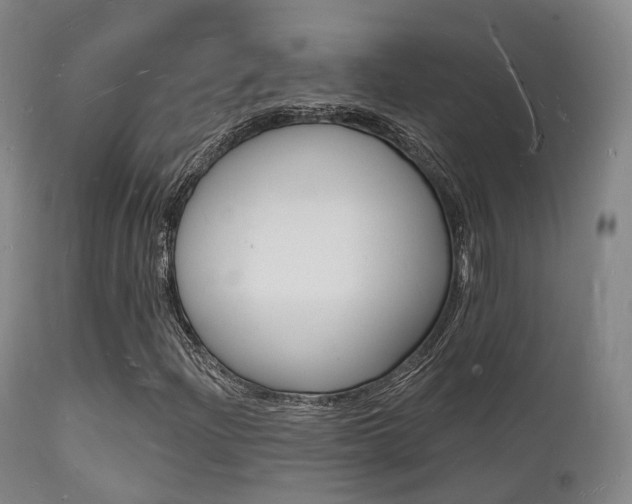 X0000112141204200908070931