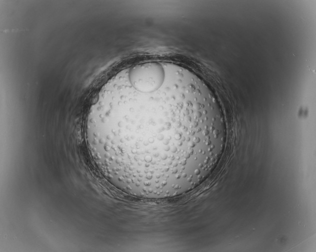X0000112141205200908070931