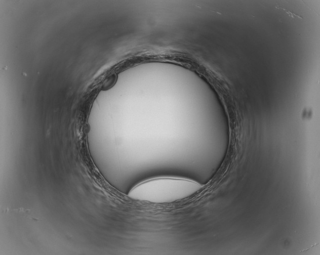 X0000112141206200908070931