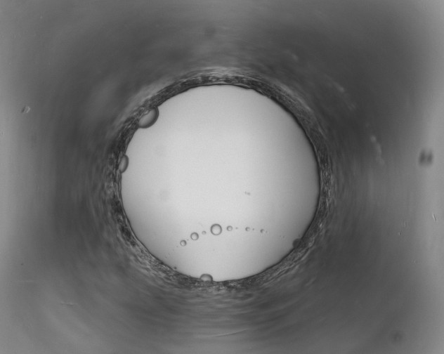 X0000112141207200908070931