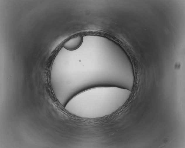 X0000112141208200908070931
