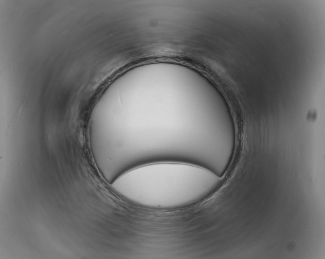 X0000112141209200908070931