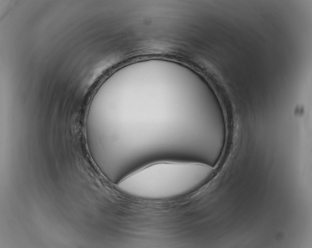 X0000112141210200908070931