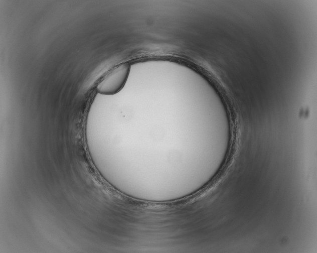X0000112141211200908070931
