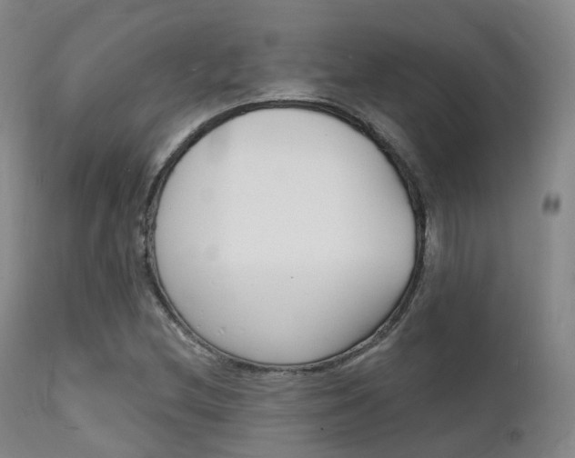 X0000112141212200908070931