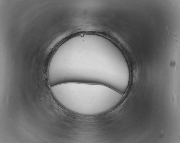 X0000112141213200908070931