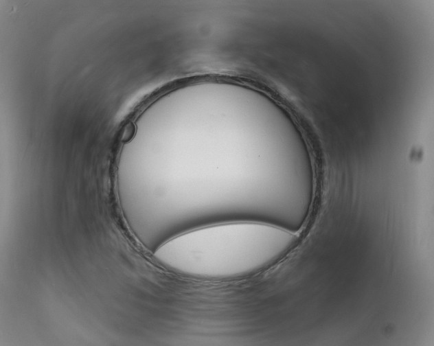 X0000112141214200908070931