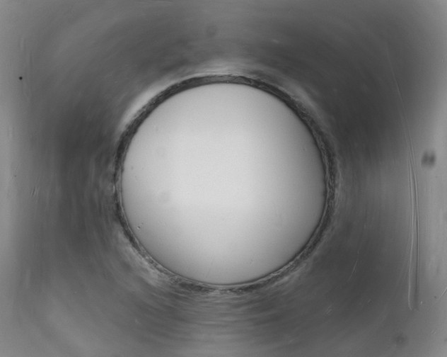 X0000112141216200908070931