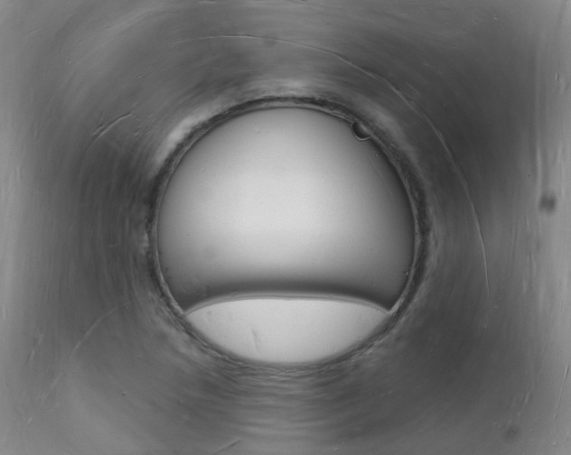 X0000112141218200908070931