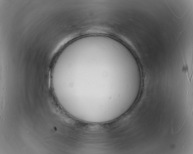 X0000112141219200908070931
