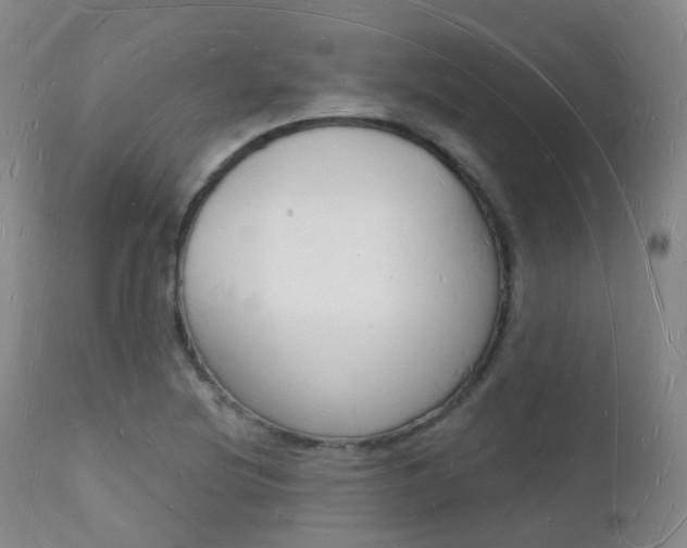 X0000112141220200908070931