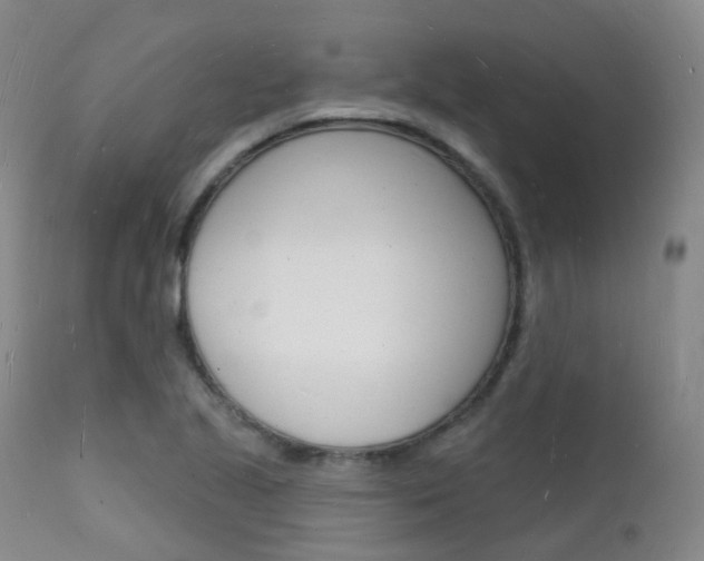 X0000112141221200908070931