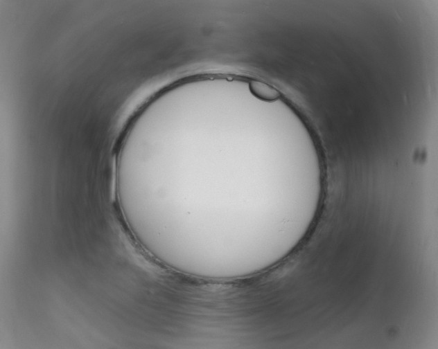 X0000112141223200908070931
