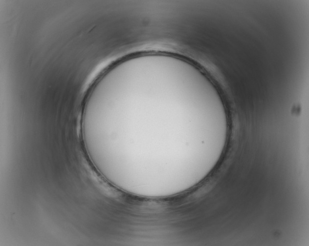 X0000112141224200908070931
