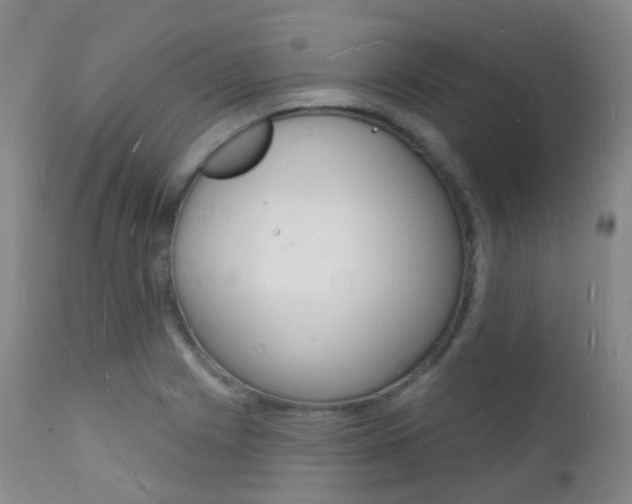 X0000112141225200908070931