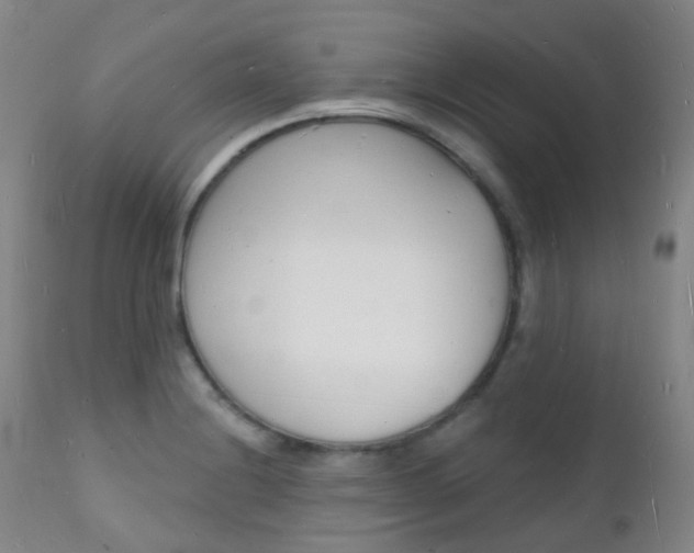 X0000112141228200908070932