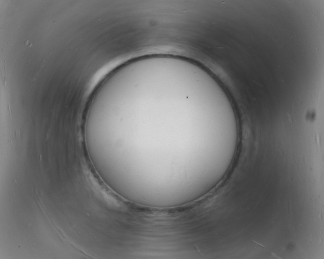 X0000112141230200908070932