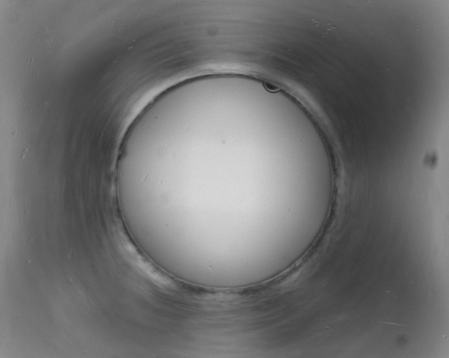 X0000112141236200908070932