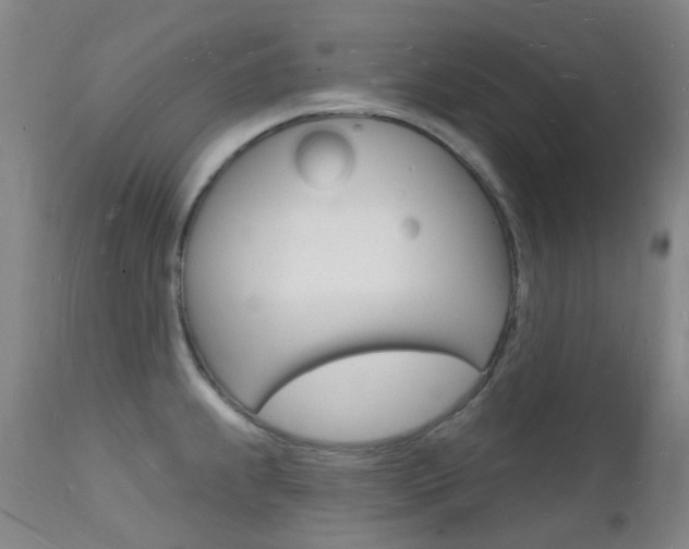 X0000112141239200908070932