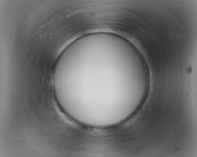 X0000112141241200908070932