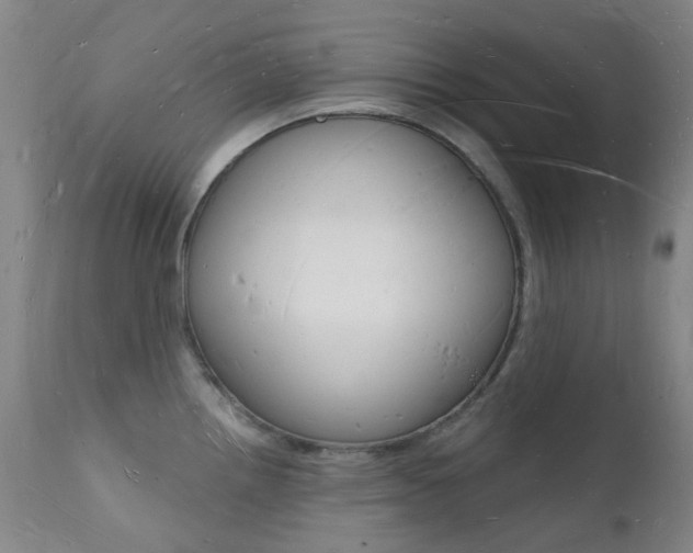 X0000112141242200908070932