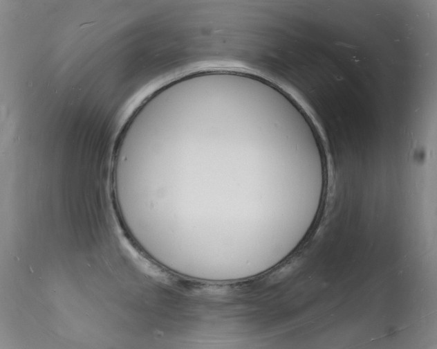 X0000112141245200908070932