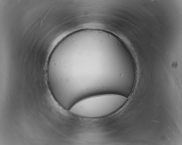 X0000112141248200908070932