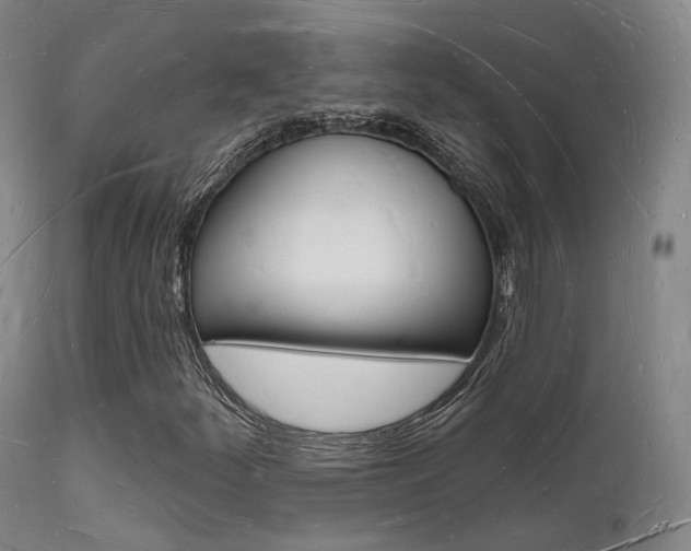 X0000112141252200908070931