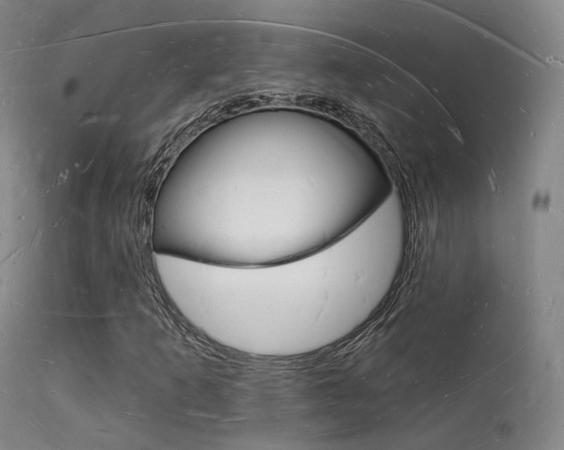 X0000112141253200908070931
