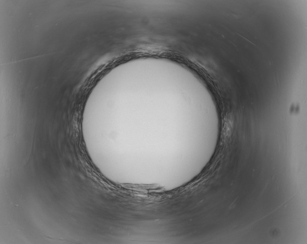 X0000112141254200908070931