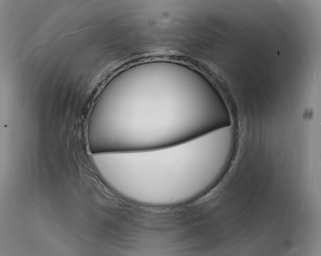 X0000112141257200908070931