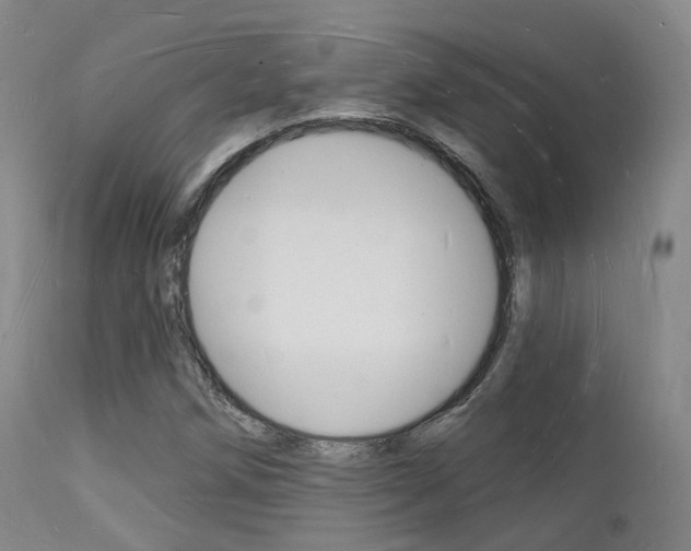 X0000112141258200908070931