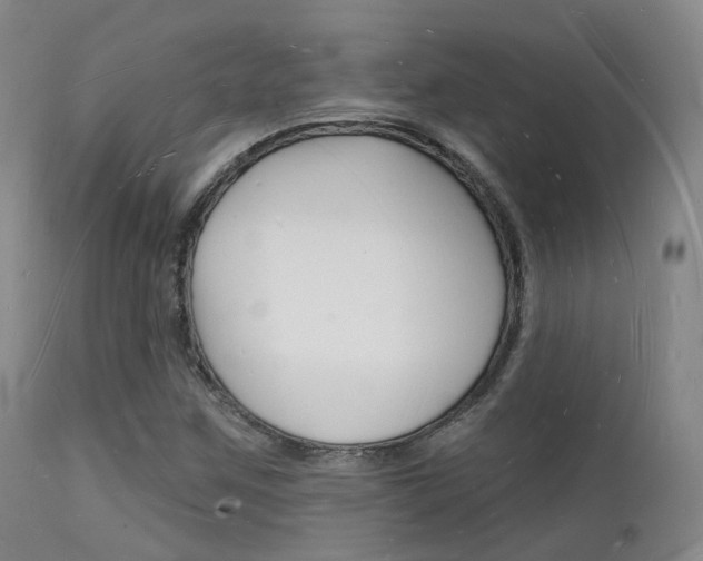 X0000112141259200908070931