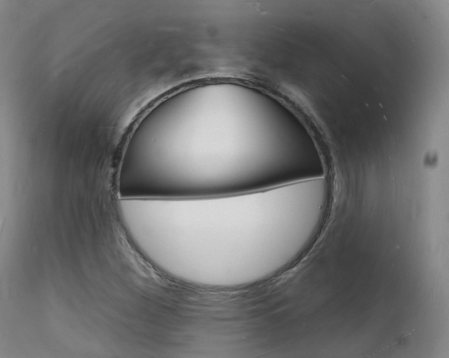 X0000112141260200908070931