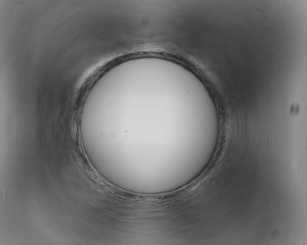 X0000112141262200908070931