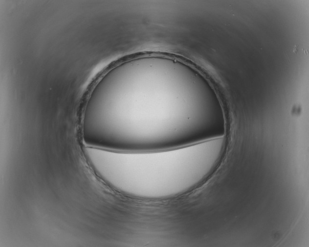 X0000112141264200908070931