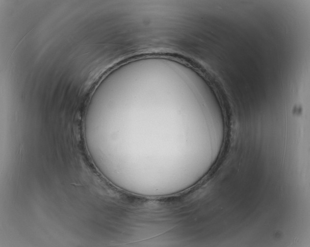 X0000112141265200908070931