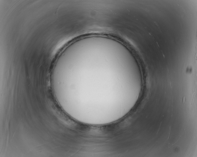 X0000112141267200908070931