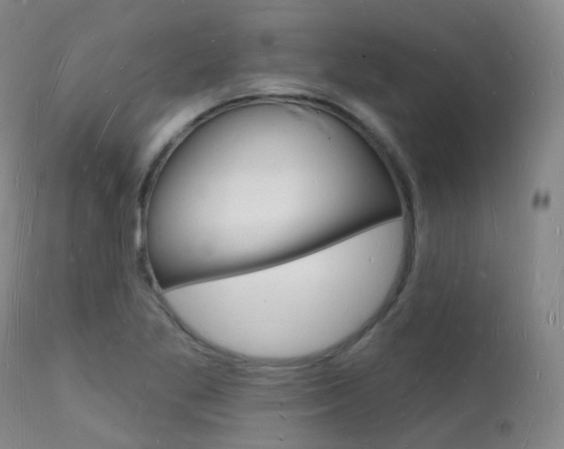 X0000112141269200908070931