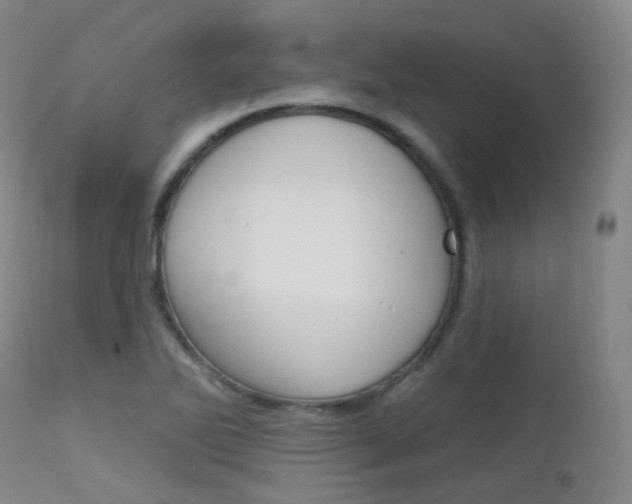 X0000112141270200908070931