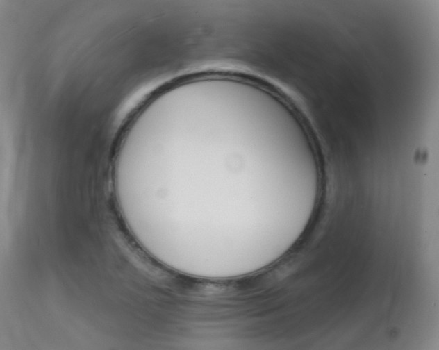 X0000112141271200908070931