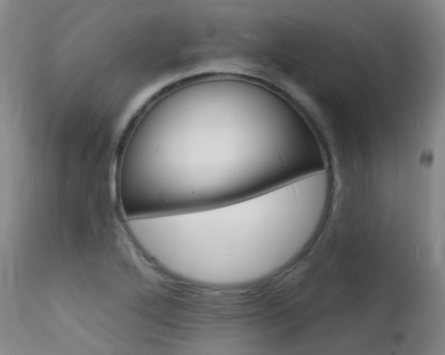 X0000112141272200908070931