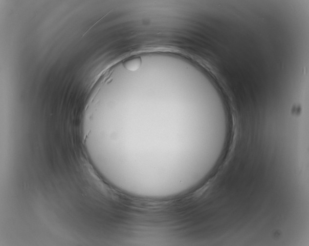 X0000112141273200908070931