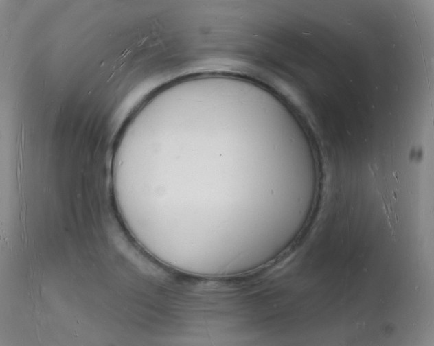 X0000112141275200908070931