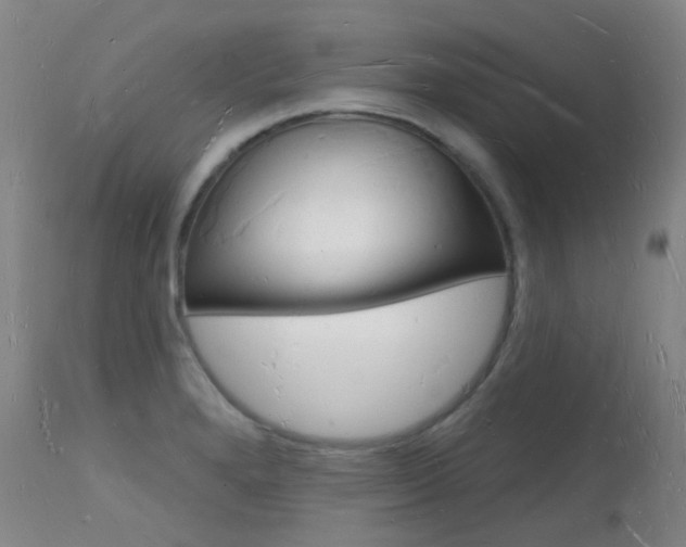 X0000112141280200908070931
