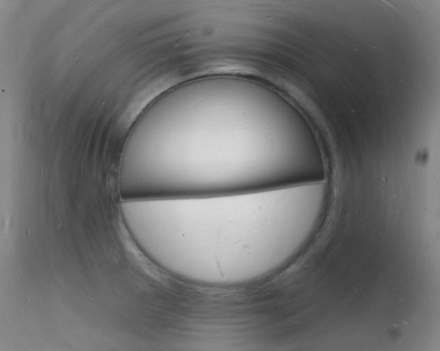 X0000112141281200908070931